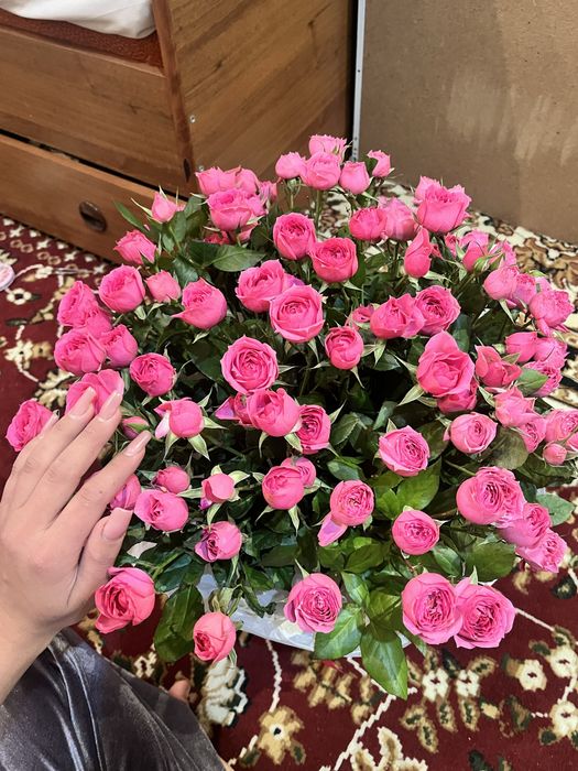 Кустовый розыы корзине свежиее