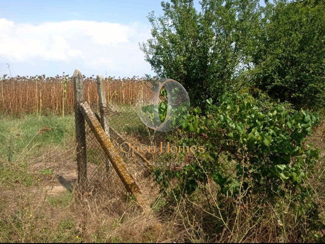 Продава се Парцел в с. Голям чардак, Област Пловдив - 675 кв.м за 25 €/кв.м - Снимка #4