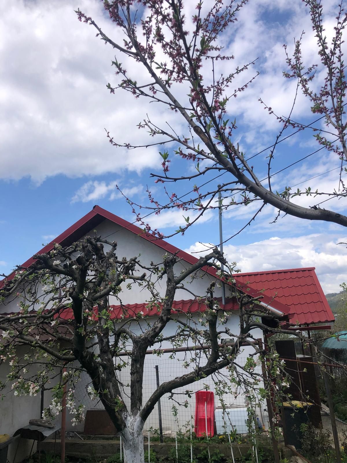 De vânzare casă .