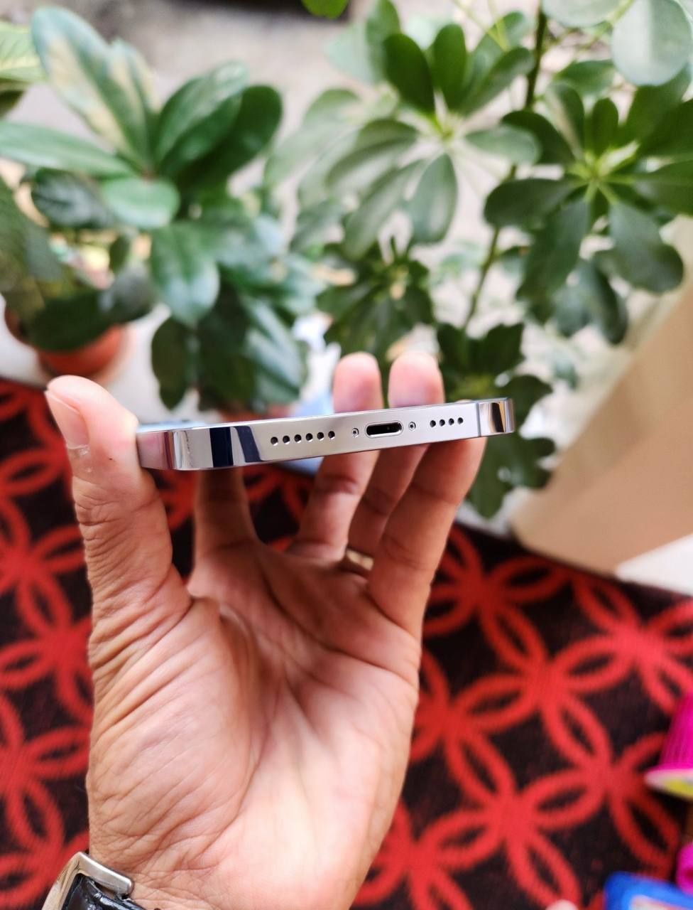 13pro max 256 gb