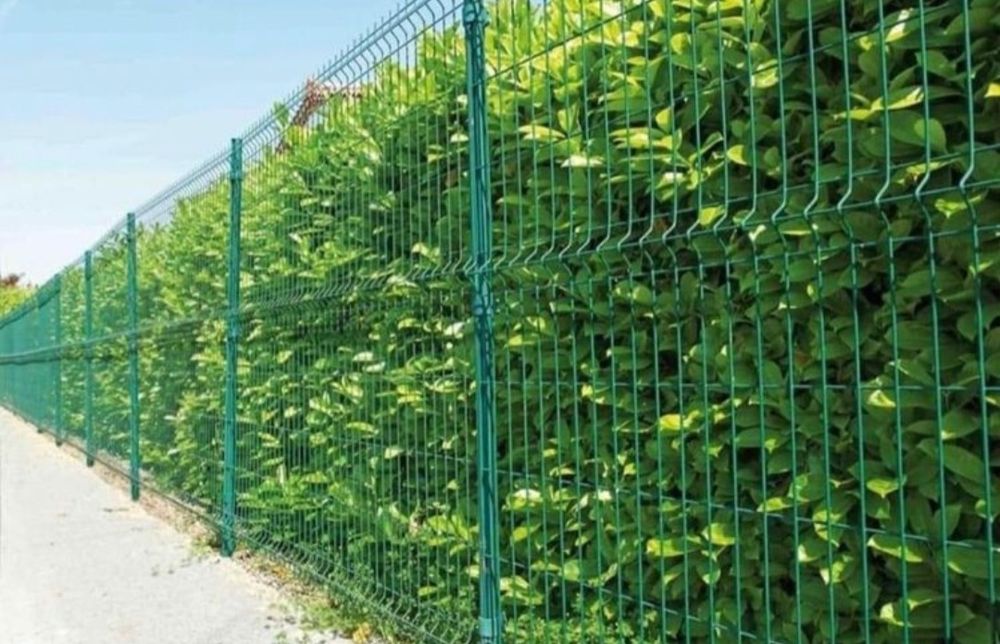 Inprejmuiri terenuri