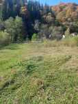 Teren vanzare - Sătic-Rucar, Argeș