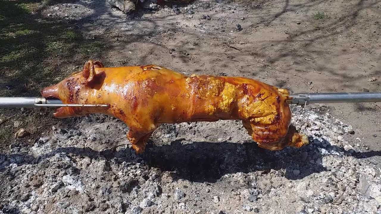 Rotisor protap miel berbecut