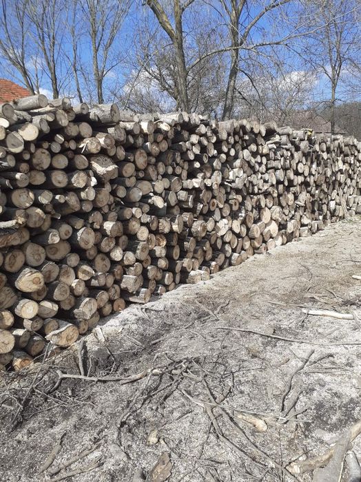 Vând lemne de foc la 250 de lei metru