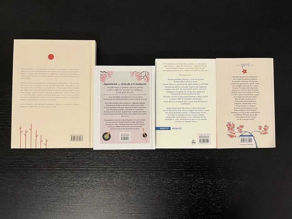 Pachet Stil de viață, educație, filosofie - 16 cărți/OFERTĂ LIMITATĂ!!