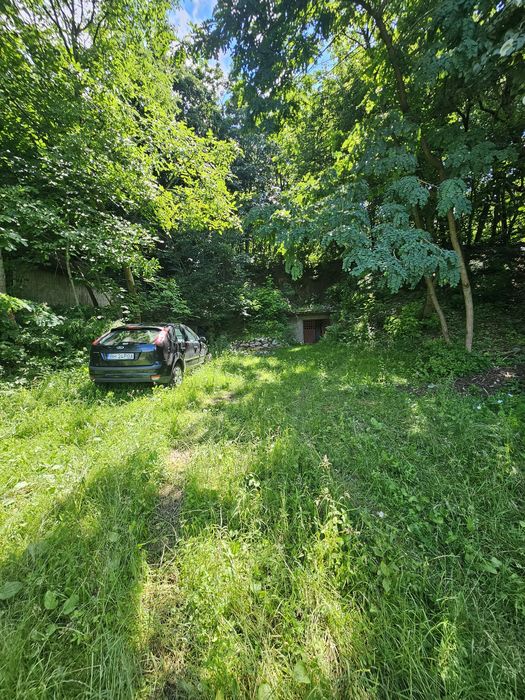 Vând Teren / Schimb 1100mp ( Vie + Pivniță ) Loc . Spinuș 28 km Oradea