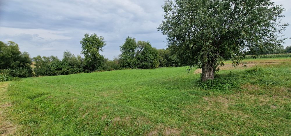 Terenuri intravilane alăturate 30 ari si 26 ari ideal casă sau arabil