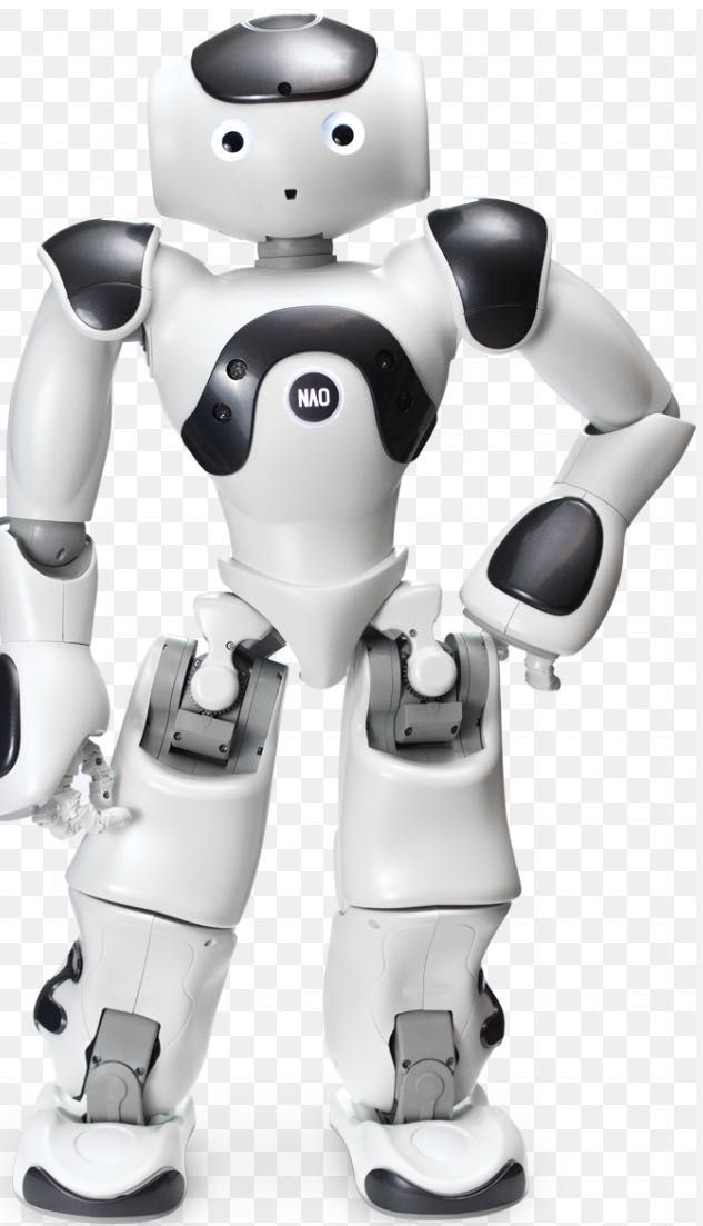 Nao robot Humanoid