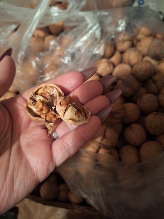 Грецкие орехи 800тг