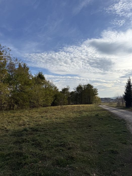 Vand teren in Dragomirna 2.002 mp