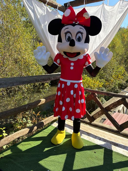 Маскоти под наем