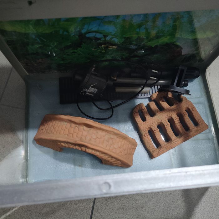 Аквариум за рибки