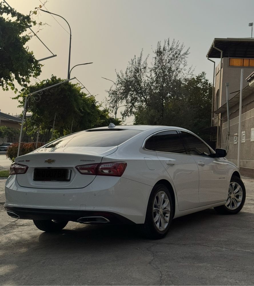 Malibu Pirimer 2020