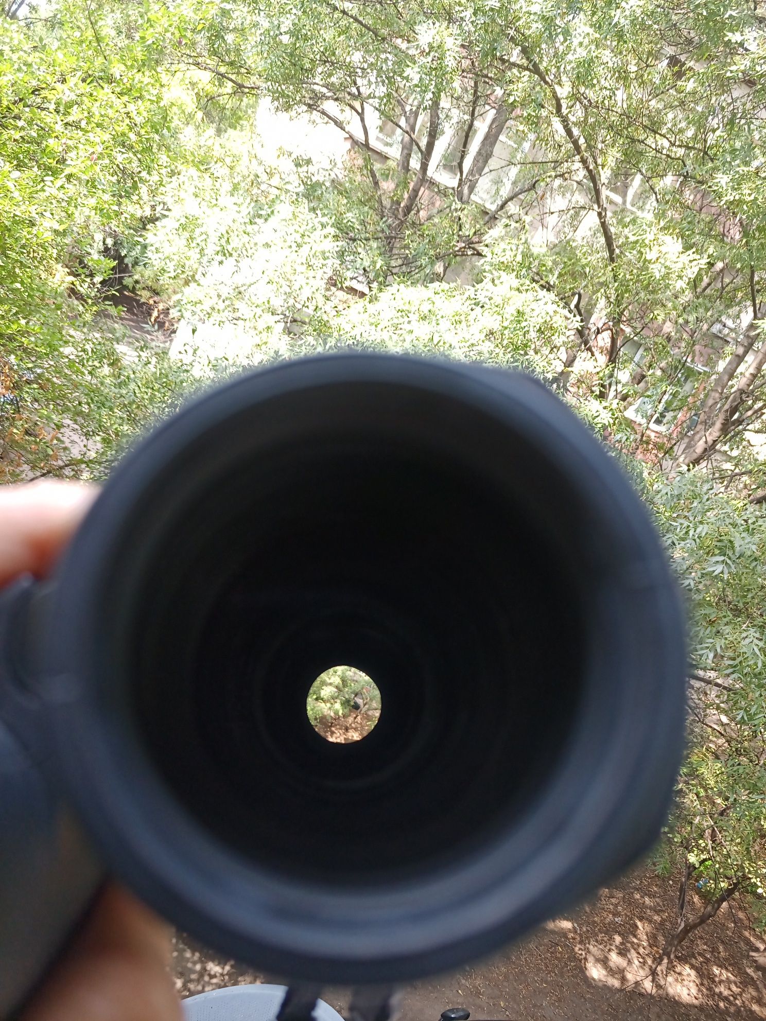 Бинокъл Carl Zeiss Conquest 8x42