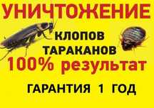 Дезинфекция. Dezinfeksiya. Дерацизация тараканов и клапов