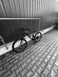 Canyon Torque al 6