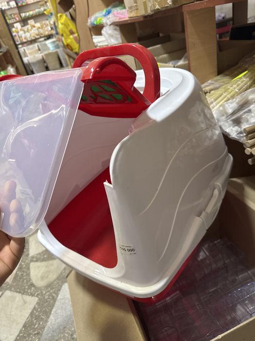 Latok Mushuklar uchun