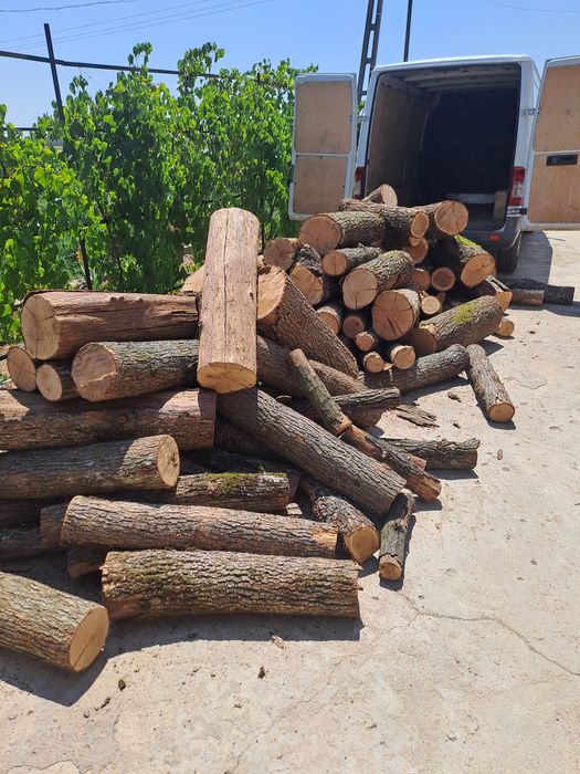 Lemne de foc (stejar) !