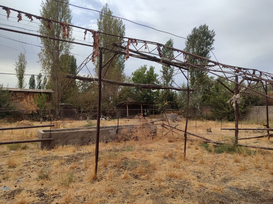 6 sotik joy sotiladi 1 sotigi 5500$dan