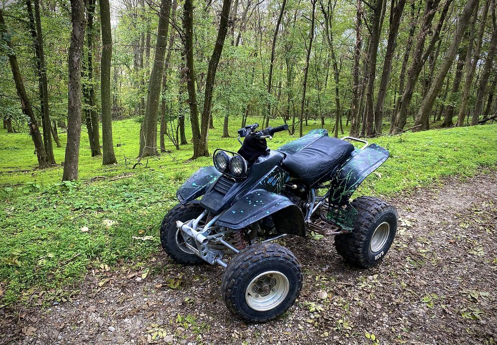 Yamaha Warrior 350cc