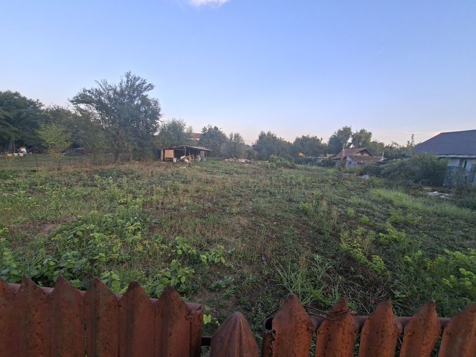 Teren intravilan de vanzare in Gruiu, Județul  Ilfov