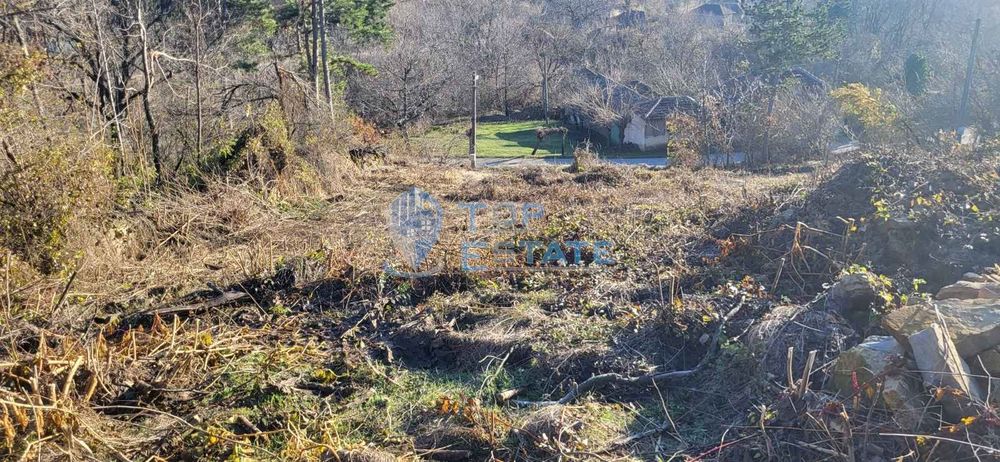 Продава се Парцел в с. Вишовград, Област Велико Търново - 2100 кв.м за 8 €/кв.м - Снимка #9