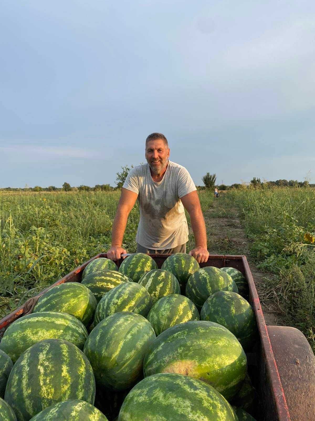 Разсад на дини, пъпеши и други