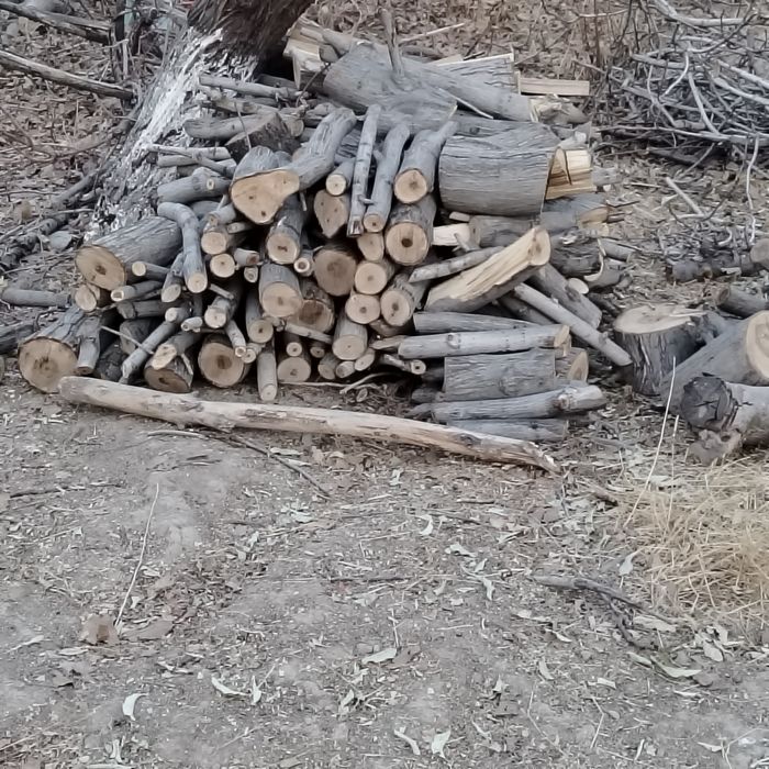 Жаңғақ отын бар бағасын келысемыз