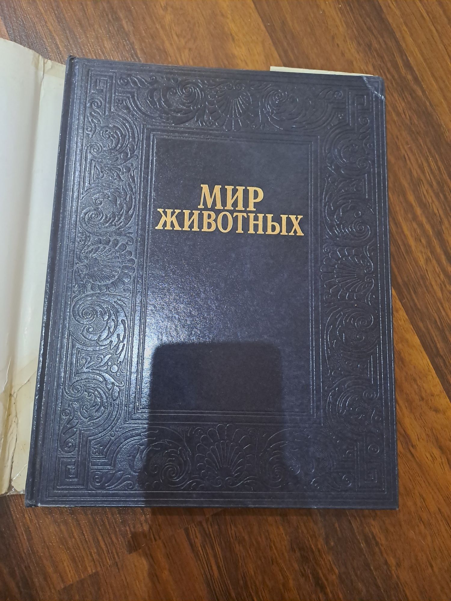 Энциклопедия "Холоднокровные"