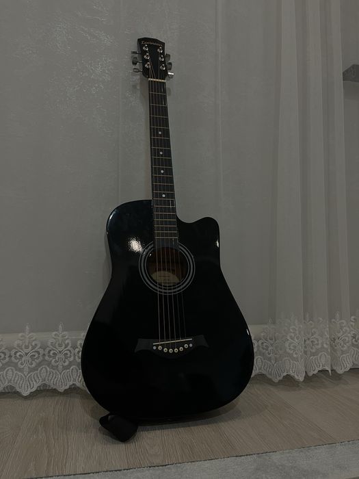 Гитара ауктическая