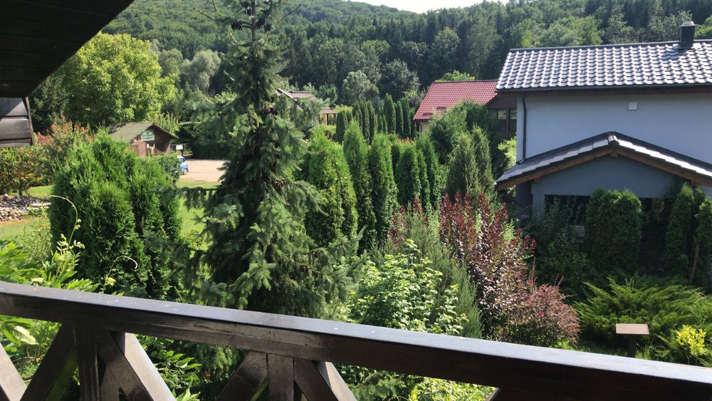 vilă/ cabană de lux in Valea Budului - Bacau