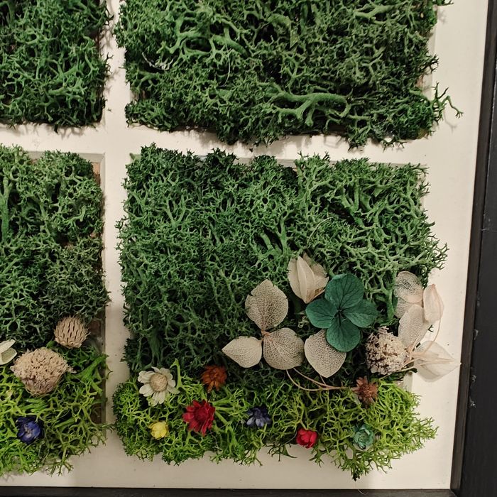 Tablou "La fereastra" din plante și mușchi stabilizati