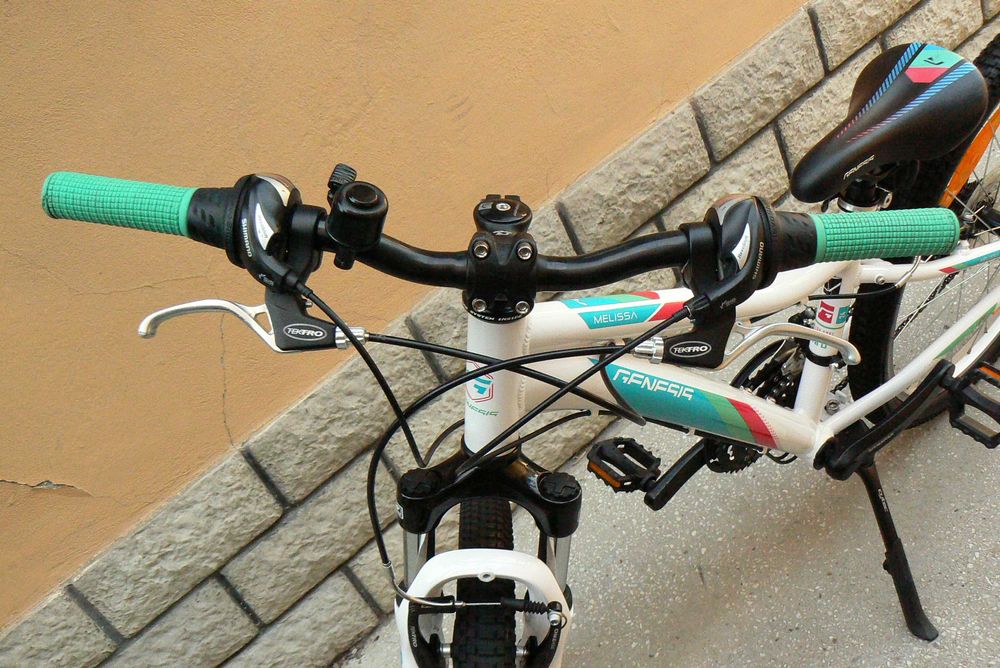 Bicicleta mountain bike de copii Genesis 24