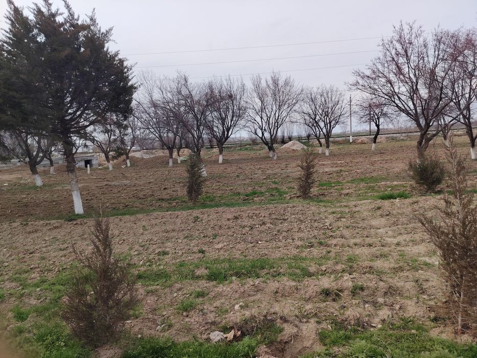 Сурхондарё вилояти кумкуркон мунчок тепа йулди буйдан 2 сутик учаска