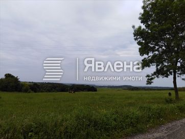 Урегулиран парцел за къща в село Фазаново