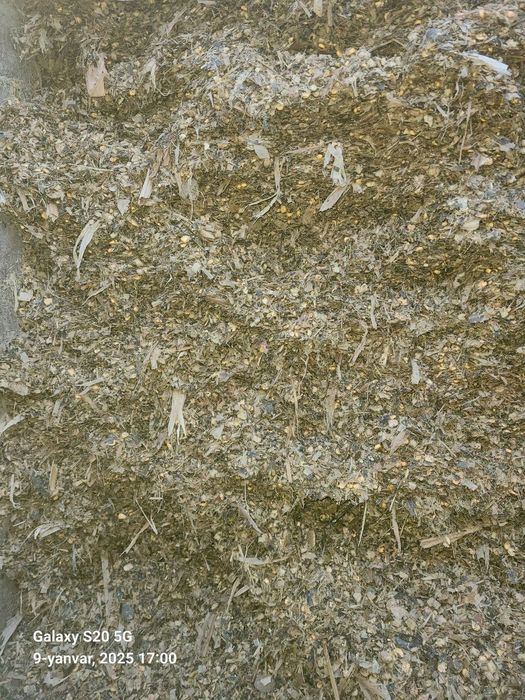 Donlik silos sotamz optm