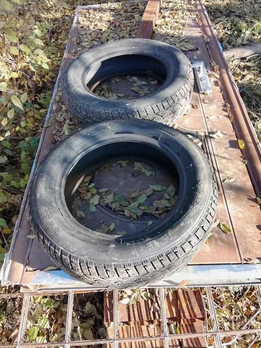 Авто шины продам