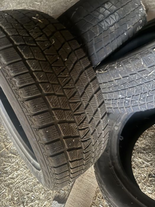 Болоны зимние в отличном сост