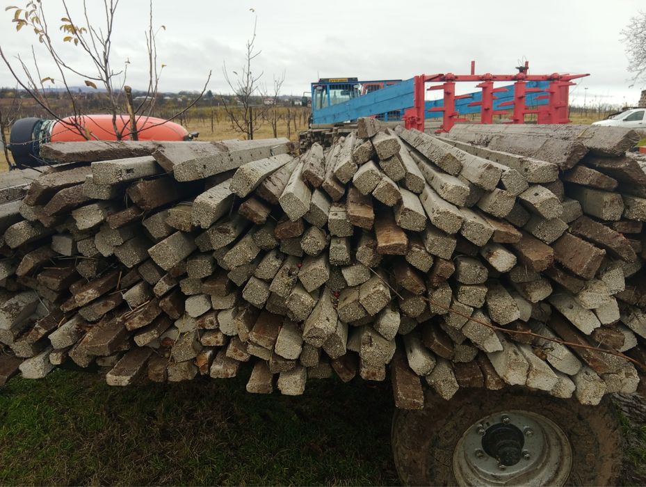 Vând spalieri de vie din beton