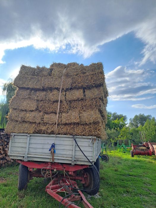Vând baloti de paie