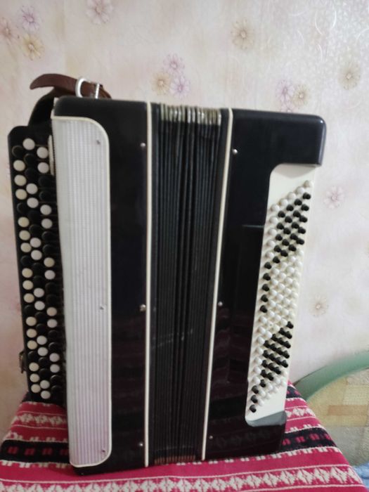 музыкальные инструменты баяны саксофон