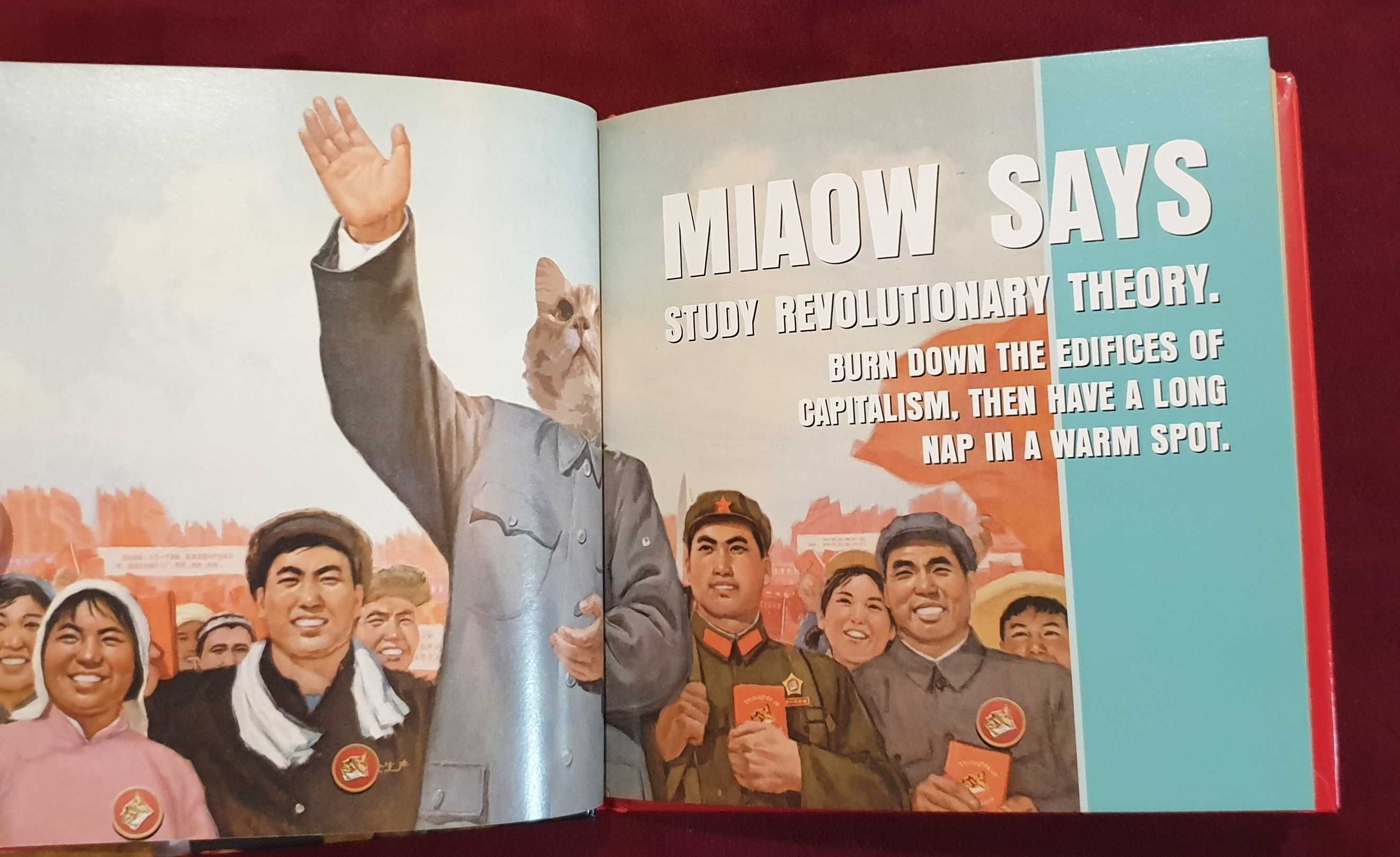 Книги за Китай, книги на мандарин
