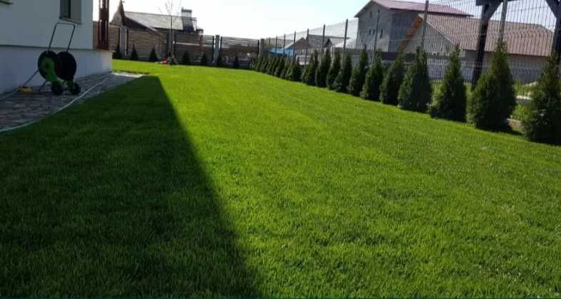 Amenajare Profesională cu Gazon Rulou Tăiat la Zi