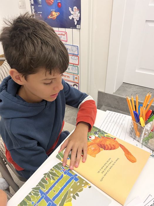 Cursuri si meditatii engleza pentru copii