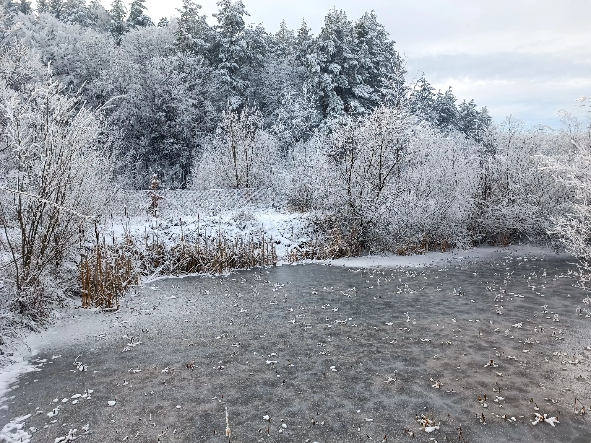 Lac cu pește, heleșteu, râu, peisaj de basm