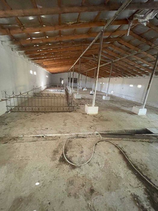 Имеется магазин на первой линии трассы