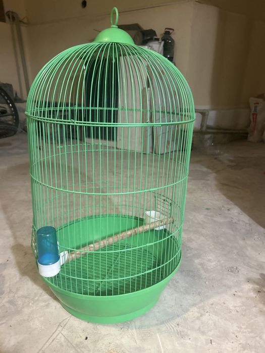 Папугайдың сеткасы сатаылады