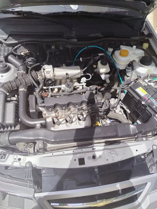 Neksia sons  xamma joyi radnoy 91000 prabek