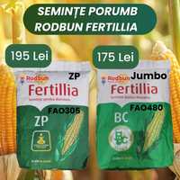 Seminte Porumb RodBun Fertillia ( Jumbo 48, ZP )