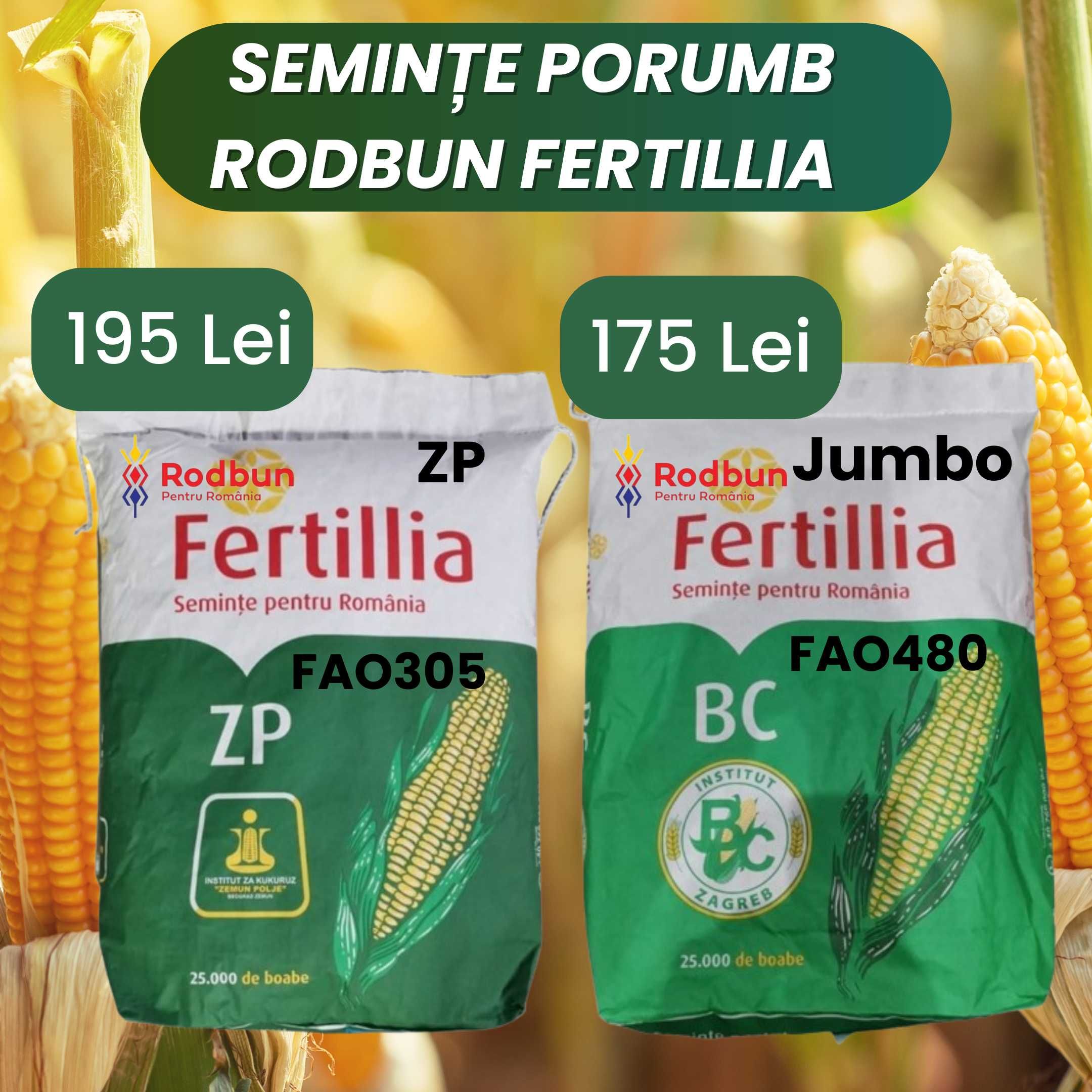 Seminte Porumb RodBun Fertillia ( Jumbo 48, ZP )